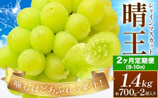 【2026年発送先行予約】【2ヶ月定期便】ぶどう シャインマスカット 晴王 約1.4kg(約700g×2房入り)×2ヶ月定期便 満天フルーツ《2026年9月上旬-10月末頃出荷》岡山県 浅口市 マスカット フルーツ 果物 お取り寄せフルーツ 贈り物 ギフト 岡山県産【配送不可地域あり】