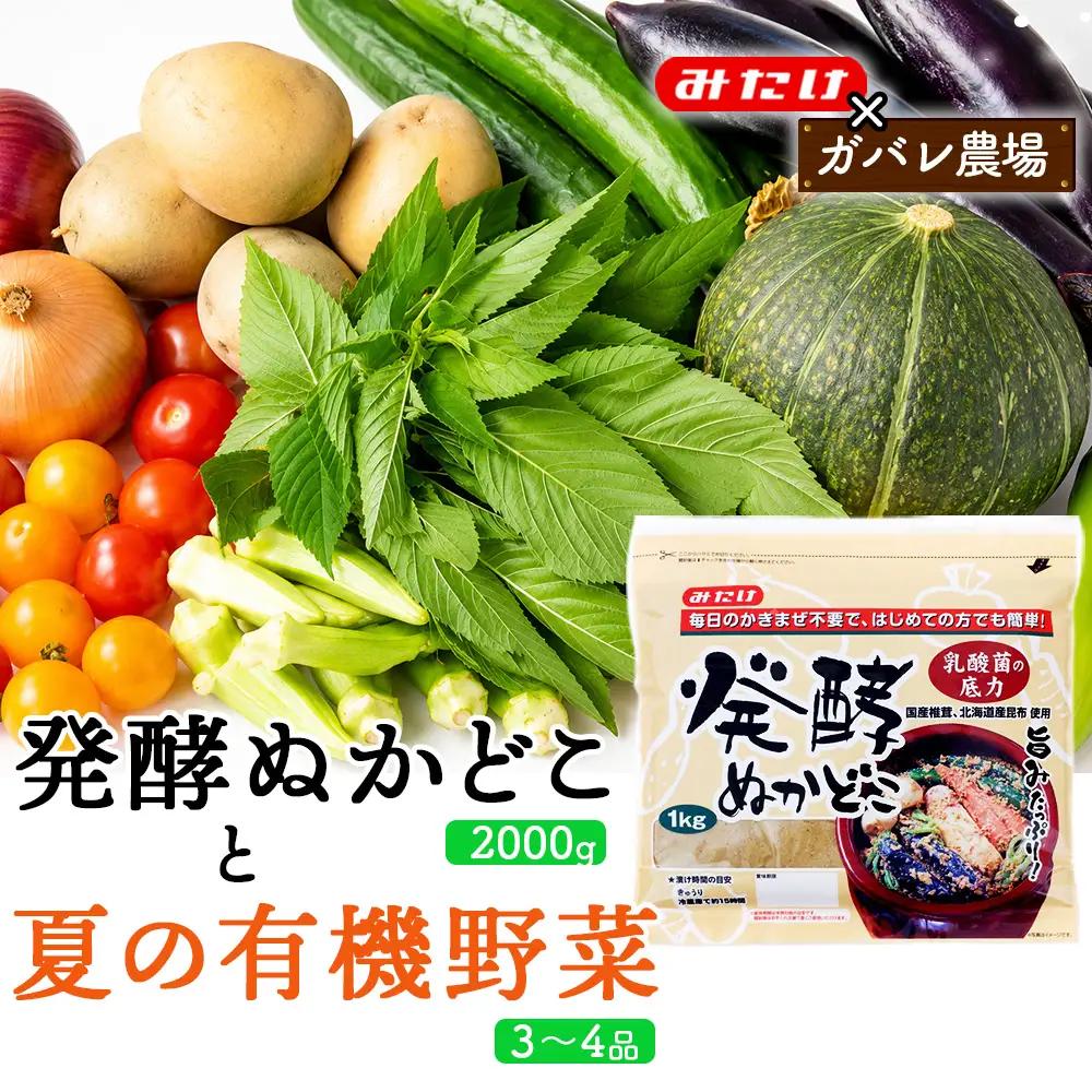 【コラボC】発酵ぬかどこ1kg×2＆夏の有機野菜3～4品 No.618