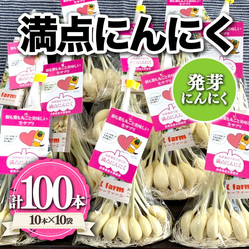 【ふるさと納税】 満点にんにく (発芽にんにく) 60～70g(10本)×10袋 栄養 スタミナ 免疫力 風邪予防 F21K-251