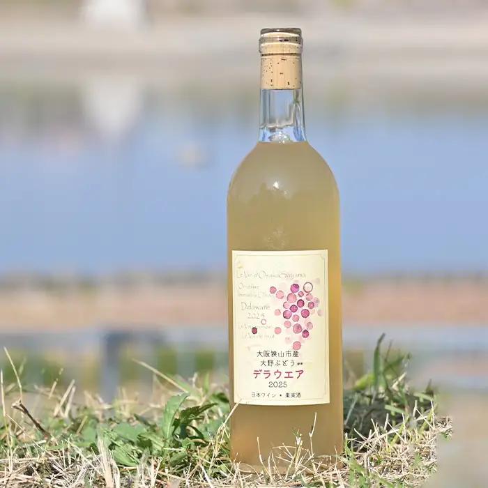 ワイン 【大野ぶどう】 ／ 白ワイン 国産ワイン デラウエアワイン 日本ワイン 甘口ワイン フルーティーワイン 軽やかな白ワイン 飲みやすいワイン さわやかなワイン 食事に合うワイン 家飲みワイン ワ