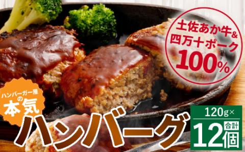 ハンバーガー屋の本気ハンバーグ1.44ｋｇ（120ｇ×12個） ＜ 国産 高知県産 牛肉 豚肉 ブランド肉 希少 土佐あかうし 四万十ポーク ＞