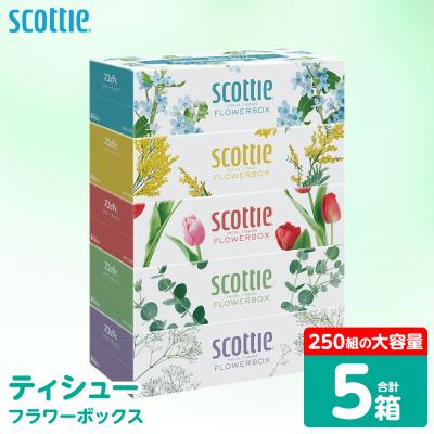 ふるさと納税 八代市 ティッシュ 250組 5箱  フラワーボックス  日用品 スコッティ_186-6423