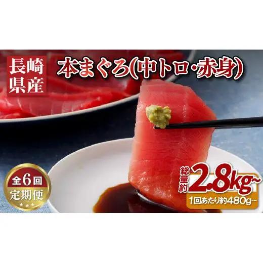 《定期便》長崎県産本まぐろ(中トロ･赤身)480g以上【6回お届け】