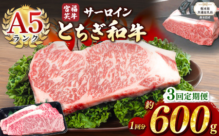 【栃木県共通返礼品 栃木県産】【定期便3回】宮福笑牛(とちぎ和牛) A5 サーロインステーキ　約200gx3枚  | 栃木県 下野市