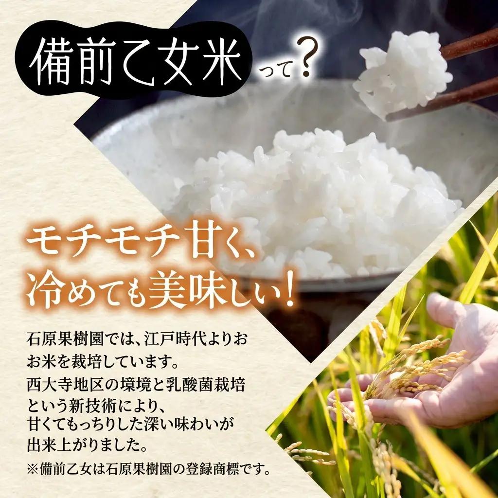 備前乙女米 白米 乳酸菌栽培 石原果樹園 岡山県産 備前乙女米【30kg×1袋】