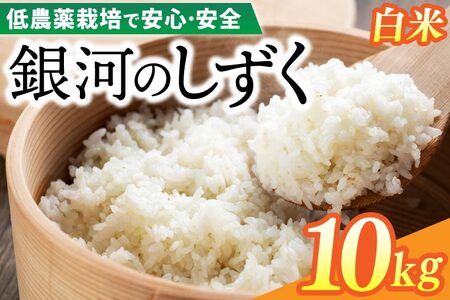 【新米】令和6年産 銀河のしずく 10kg (精米) 低農薬栽培米 生産者直送 (EI003)