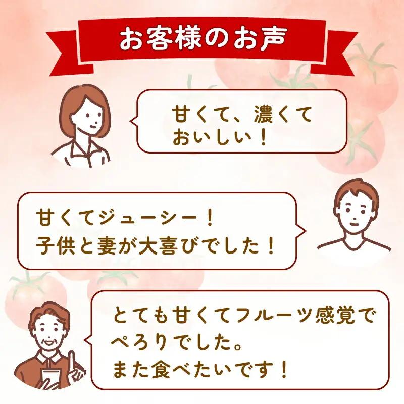【フルティカトマト】トマト 1kg 先行予約 