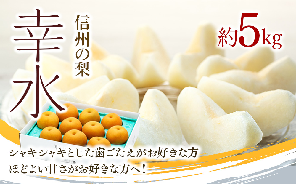 梨 幸水 5kg 2026年秋 信州の梨 シャリっとしてみずみずしい