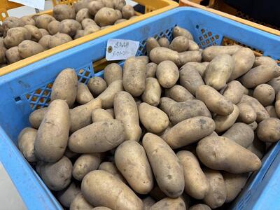 ＜標茶高校創生ゼミが北海道からお届け＞ジャガイモ3種類　計5kg（とうや、きたあかり、メークイーン）