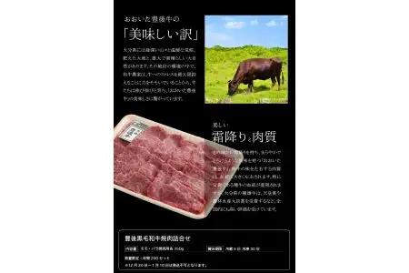 豊後黒毛和牛焼肉詰合せ約700g A01023