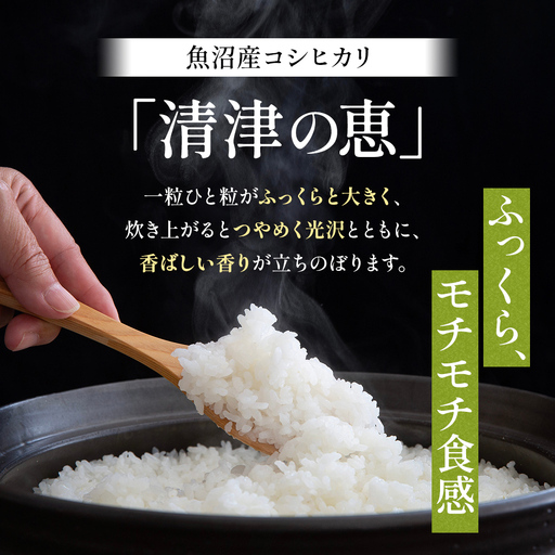 【令和8年産 先行予約】〈定期便〉魚沼産特別栽培米コシヒカリ［清津の恵］精米10kg（5kgx2袋）全12回