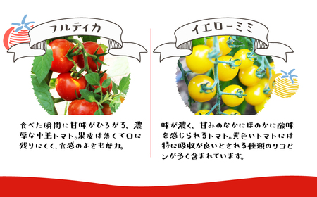 《事前予約》《夏季限定》雪解け水で育ったカラフルな濃厚ミニトマト 2kg [A0008rewx] syun116