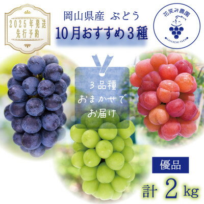 【ふるさと納税】岡山　花笑み農園のブドウ『10月おすすめ 3種』約2kg(3房)優品　3M-2L優【10月～発送】【配送不可地域：離島】【1593511】