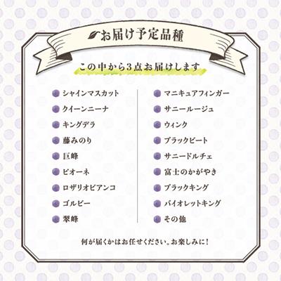 ふるさと納税 山梨市 【発送月固定定期便】葡萄好きさん、集まれ〜!人気のフルーツぶどうの定期便全3回 |  | 01