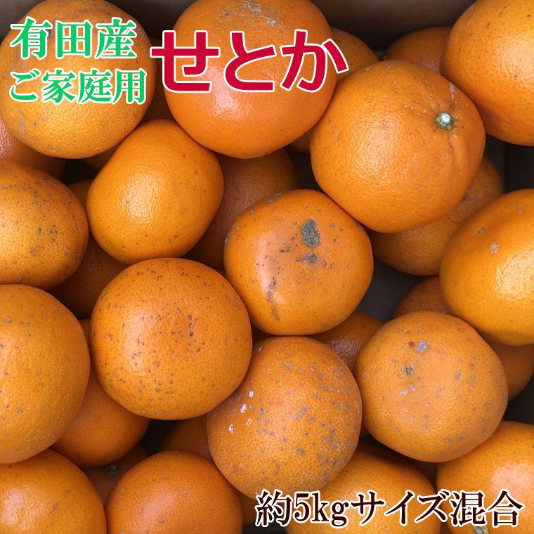 【ふるさと納税】(訳あり・ご家庭用)一度は食べていただきたい「有田産のせとか」約5kg★2027年2月中旬頃より順次発送 | 有田川町 春柑橘 柑橘類 訳あり 家庭用 甘味 とろける食感 人気 おすすめ フルーツ 和歌山県産 産地直送 お取り寄せ 送料無料 ふるさと納税