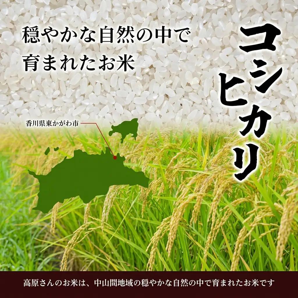 令和8年産香川県産コシヒカリ6kg（精米）※３Kg×2袋