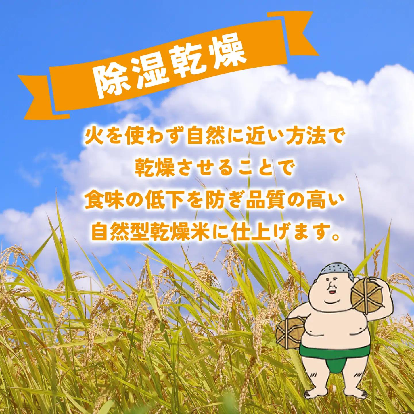 里山のこしひかり ほくの里 5kg × 1袋 |  コシヒカリ 令和7年産 