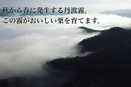 丹波栗 M～L 1.2kg 栗