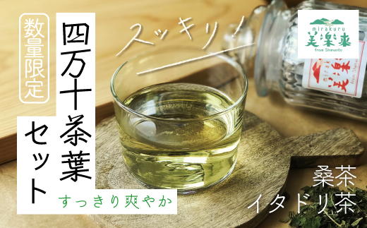 26-814．【数量限定】すっきり爽やか四万十茶葉セット(イタドリ茶・桑茶）