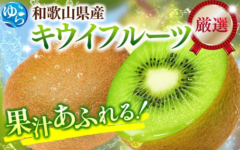 
                  厳選 キウイ フルーツ5kg+250g（傷み補償分）  キウイフルーツ 高級 和歌山 ※2025年11月中旬～2026年6月下旬に順次発送 ※北海道・沖縄・離島への配送不可 【ikd133D】
                