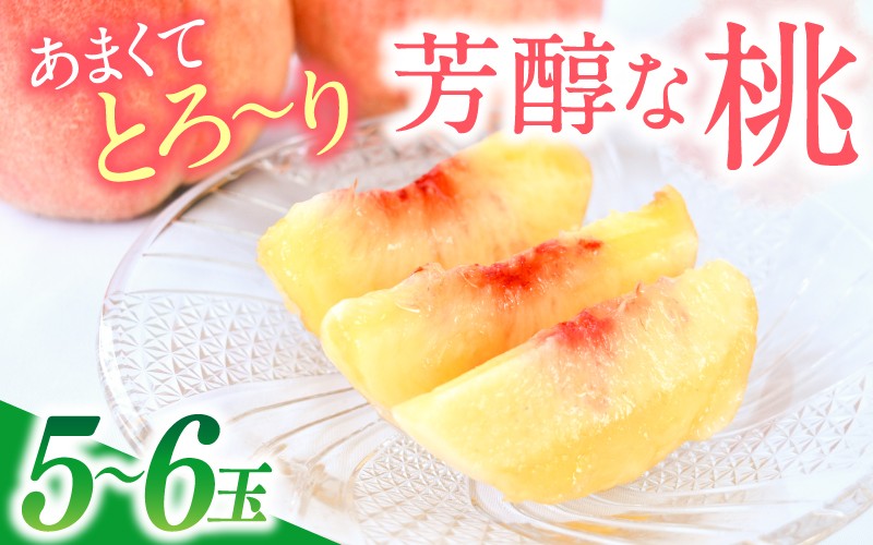 
                  あまくてとろ～り芳醇な桃【5～6玉】【先行予約】【2026年6月下旬～8月上旬順次発送】/あおぞらふぁーむ 桃 完熟 かつらぎ町 高野山麓 和歌山県【aozf001】
                