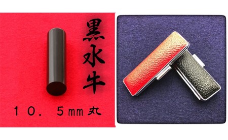 黒水牛10.5mm（5書体）牛革ケース（赤） 民芸品 工芸品  てんしょたい