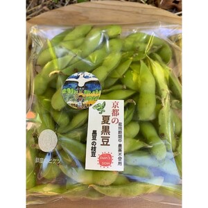 【数量限定】京都夏黒枝豆さや 1kg（250g×4パック）（2027年7月中旬～発送） 枝豆