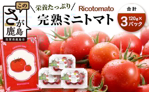 完熟ミニトマト 少量パック 360g (120gx3p) お試し 定期便 1〜4回 たにぐちファーム | トマト ミニトマト プチトマト 野菜 定期便 定期 やさい とまと 甘い リコピン ビタミン 新鮮 旬 食べ切り ふるさと 人気 佐賀県 鹿島市 送料無料 a-212