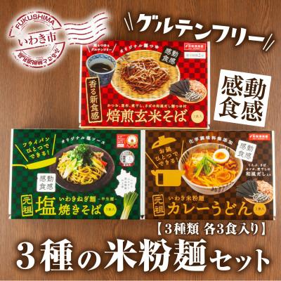 ふるさと納税 いわき市 【グルテンフリー】3種の米粉麺セット　いわき米粉麺カレーうどん・いわきねぎ麺塩焼きそば・焙煎玄米そば
