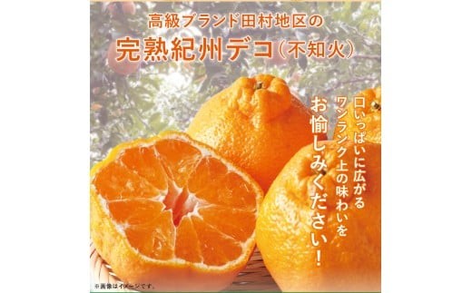
                  高級ブランド田村の完熟紀州デコ(不知火)約8kg＜2027年3月上旬～3月中旬頃順次発送＞【uot867】
                
