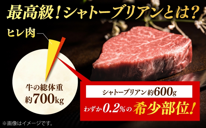 フィレ ヒレ シャトーブリアン しゃとーぶりあん 牛肉