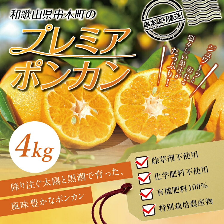 【ふるさと納税】 プレミアポンカン 2L〜3Lサイズ 4kg 節減対象農薬不使用 化学肥料不使用 【1月上旬〜2月上旬発送予定】 柑橘 ぽんかん フルーツ みかん ミカン オレンジ 限定 旬