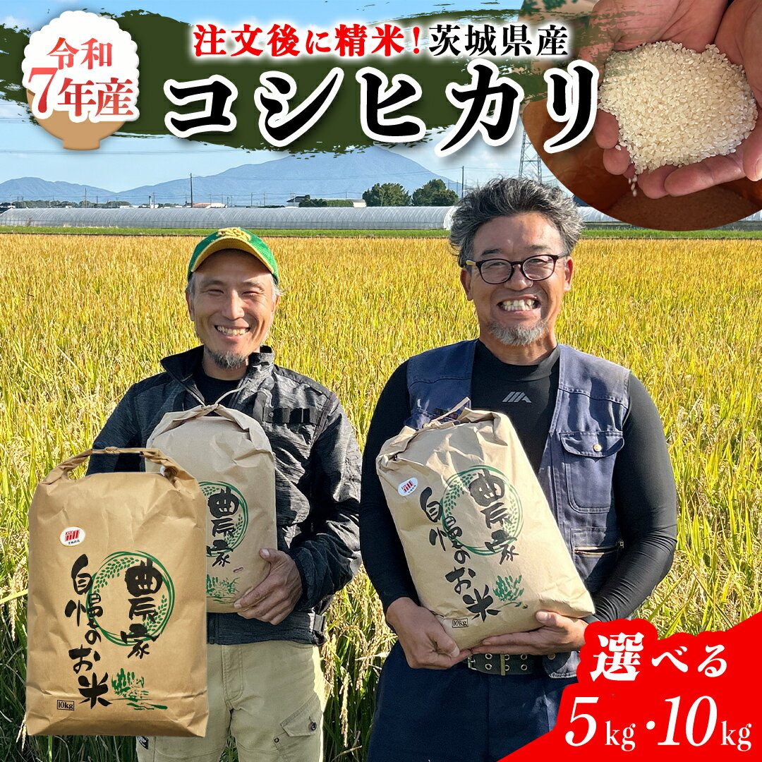 【ふるさと納税】 《 選べる 内容量 》令和7年 茨城県産 コシヒカリ 5kg ～ 10kg 令和7年産 新米 単一原料米 精米 米 お米 コメ 白米 こしひかり 茨城県
