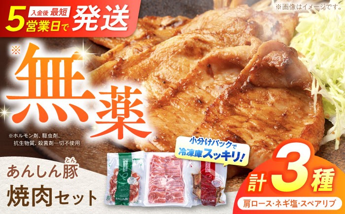 
                  【お中元対象】無薬育ちのあんしん豚 豚肉 焼き肉 セット 豚肉 ロース 国産 白川町 / 藤井ファーム [AWAF005] 国産 豚肉 焼き肉 ロース 肩ロース 豚ロース スペアリブ セット 小分け 豚 ぶた 味付き 焼肉 やきにく BBQ
                