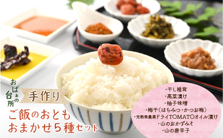 おばぁの台所 手作りご飯のおとも ７種から おまかせ５種セット DSB002