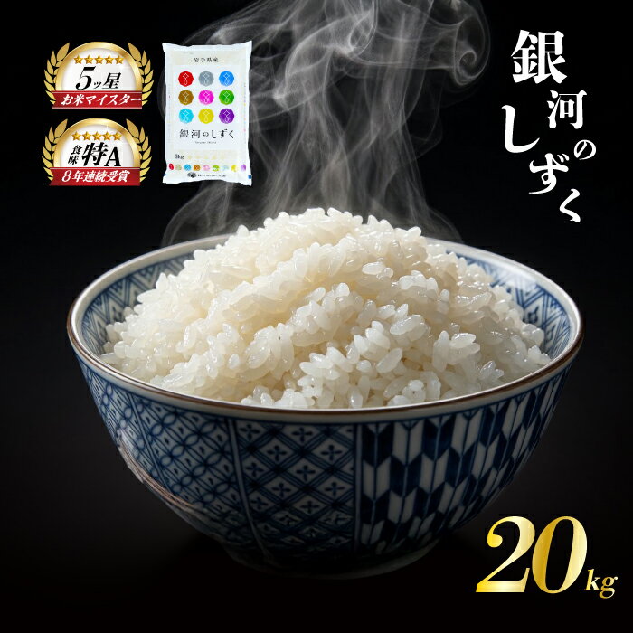 【ふるさと納税】 銀河のしずく 20kg 5kg×4袋 令和7年産 盛岡市産 岩手 米 お米 白米 ブランド米 精米 ぎんがのしずく 白米 米 お米 こめ コメ 国産 岩手県 盛岡市 お取り寄せ 産地直送 盛岡 佐々木米穀店