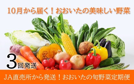 2396R_10月からお届け!おおいたの旬野菜定期便/計3回発送