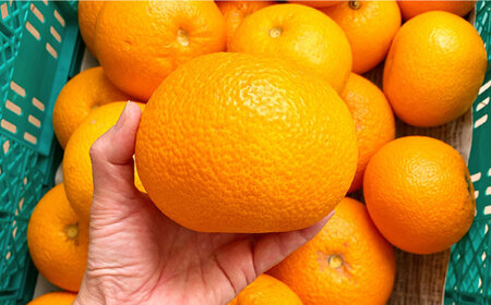 【数量限定】厳選！旬を味わう高槻野菜おまかせ詰め合わせセット（10種～15種）　大阪府高槻市/高槻あぐり[AOCS006]