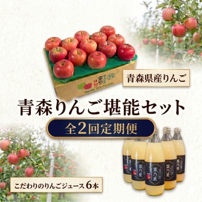 【発送月固定定期便】青森りんご 約3kg+りんごジュース1L×6全2回【配送不可地域：離島・沖縄】【4087600】