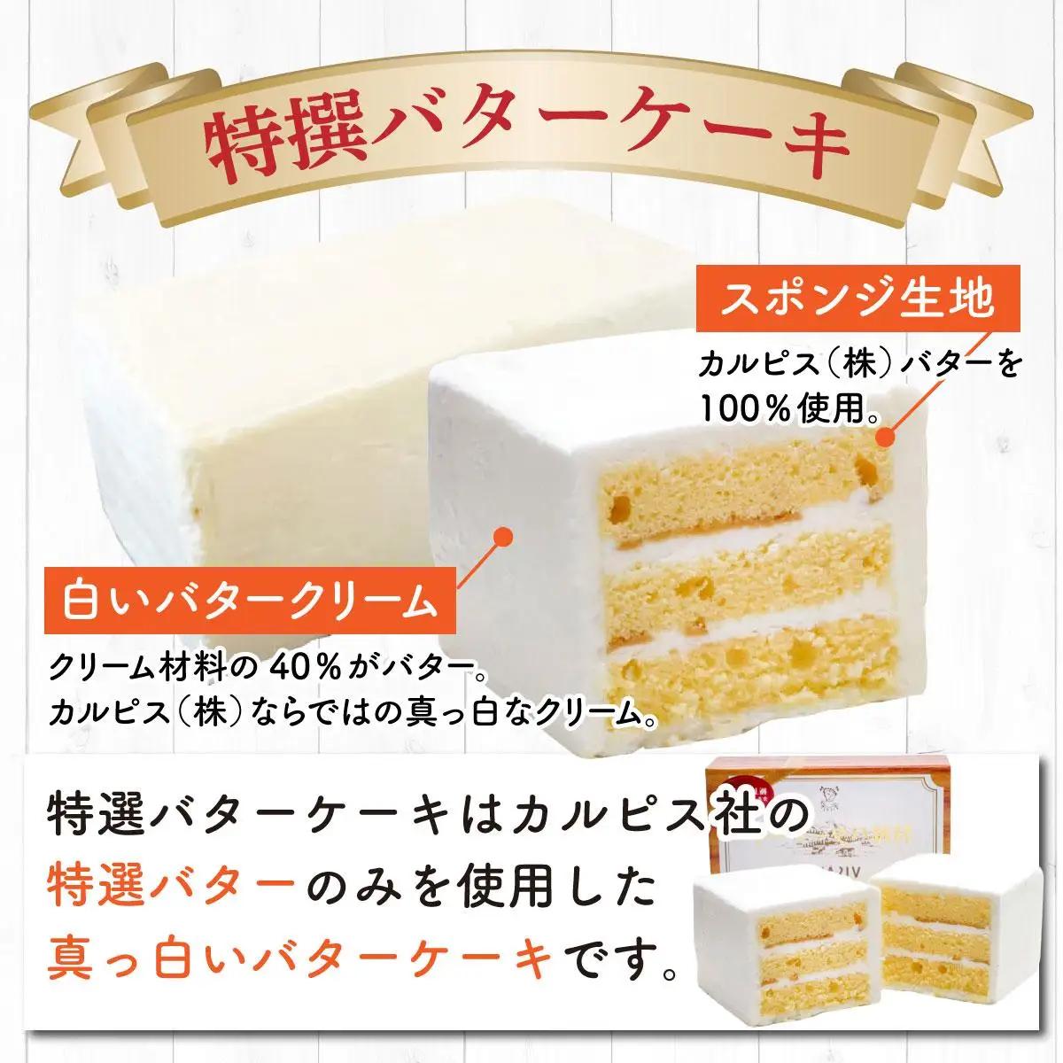  ≪定期便・全3回≫VISAVIS人気セット　特撰バターケーキ・博多赤煉瓦チョコ物語・九州のレモンケーキの詰め合わせ