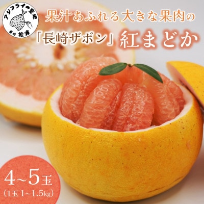 『期間限定』柑橘の王様!「長崎ザボン」果汁あふれる大きな果肉の紅まどか(4～5玉)【配送不可地域：離島】【1698410】