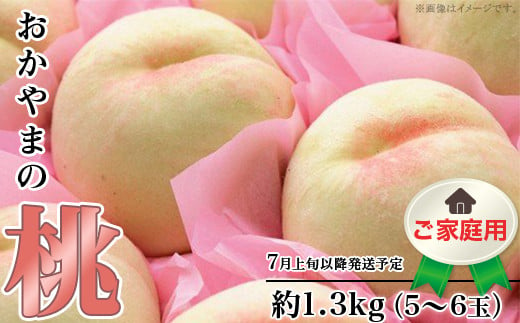 
            【ご家庭用】おかやまの桃 約1.3kg（5～6玉）
          