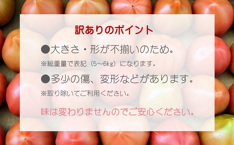 訳あり！ご家庭用に大活躍　夢追うトマト5㎏～6kg 【B0-190】 トマト とまと ジューシー リコピン 期間限定 松浦市 松浦産 大玉トマト　訳ありトマト