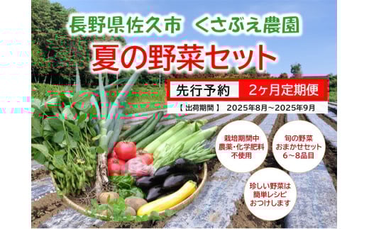 【2ヶ月定期便】くさぶえ農園『夏の野菜6～8品目セット』（2025年8～9月出荷／北海道・沖縄・離島は配送不可）高原 無農薬 産地直送 新鮮 旬彩 簡単レシピ 先行予約【 産直 高原野菜 季節の野菜 旬の野菜 有機野菜 有機栽培 農薬 化学肥料 不使用 佐久市 】