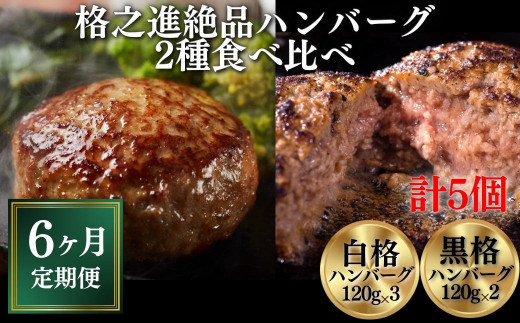 
【定期便/6ヶ月】《格之進》絶品ハンバーグ【白格・黒格】食べ比べセット(120g)計5個×6回お届け プレミアム お弁当 個包装 お惣菜 小分け 子供 簡単調理 肉 岩手 一関 贈り物 ギフト お取り寄せ 冷凍 人気
