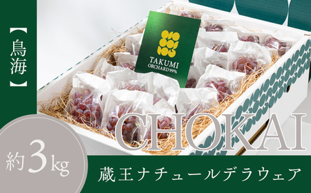 【鳥海 CHOKAI】蔵王ナチュールデラウェア 山形のデラウエア TAKUMI ORCHARD 99% ご家庭 M以上房サイズ混合 約3kg 山形 山形県 山形市 フルーツ 果物 くだもの 送料無料 ぶどう 葡萄 ブドウ デラウェア 減農薬【令和8年産先行予約】FS25-115