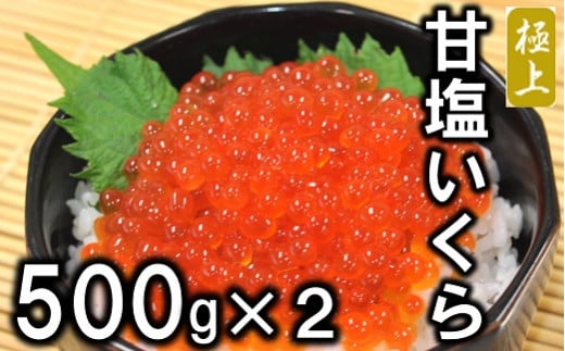 三陸産 甘塩いくら 3特 500g×2(1kg) (鮭卵)  いくら塩漬け いくら塩 岩手県産 国産