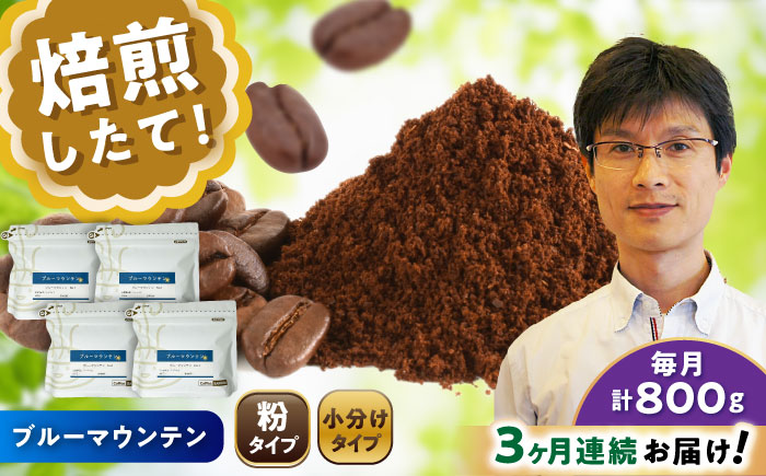 【全3回定期便】ブルーマウンテンNo.1 コーヒー粉 200g×4個 (粉/中挽き) / 珈琲 コーヒー 粉 / 瀬戸市 / Ｃｏｆｆｅｅ　ＳＡＫＵＲＡ [BBAB095]