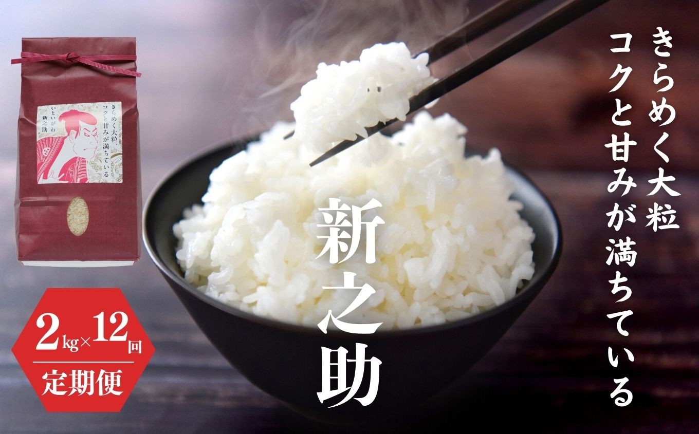 
                  令和8年産 新米【定期便】新之助 2kg×12ヶ月 計24kg 米・食味鑑定士お墨付き 家族みんなで愛情かけて育てた米 新潟県糸魚川産 2026年 しんのすけ 白米 百姓や伝六【新潟米 お米 こめ ご飯 ライス ふるさと納税米 食品 人気 おすすめ お弁当 おにぎり ギフト 新潟県の新しいブランド米 農家直送 2キロ 先行予約 精米 12回 12か月】
                