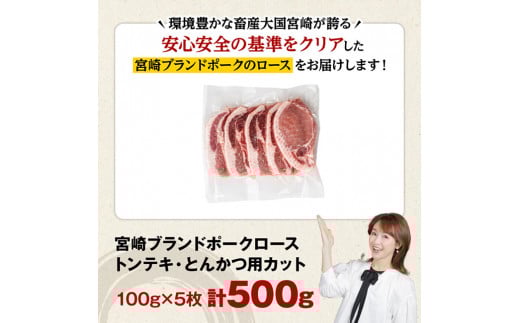宮崎ブランドポーク ローストンテキ・とんかつ用カット 500g【 九州産 豚 ぶた 肉 ロース とんかつ トンテキ おうちごはん おうち時間 】[E11301]